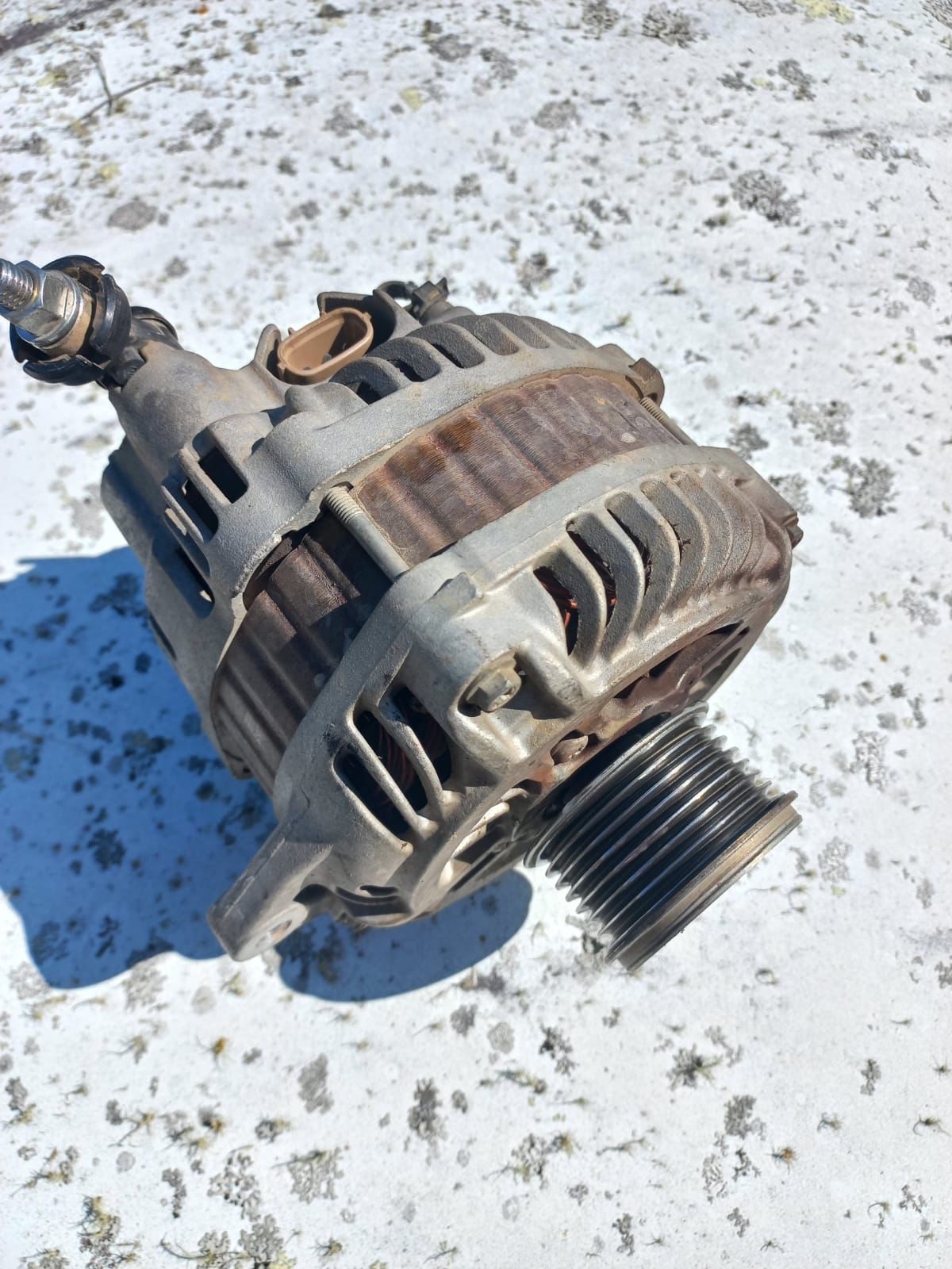 Picture of car detail 1